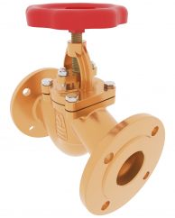 Globe Valve DN65 PN16