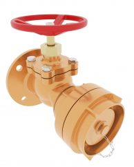 Fire Valve DN50 PN16