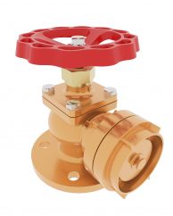 Fire Valve DN50 PN16