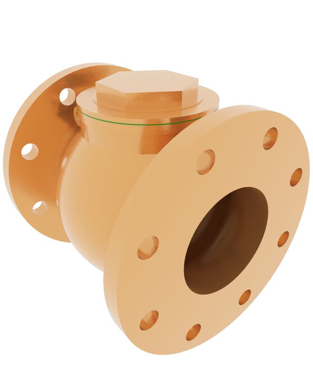 Product image of SWING CHECK VALVE FLANGED, RG7/RG5/CW614N