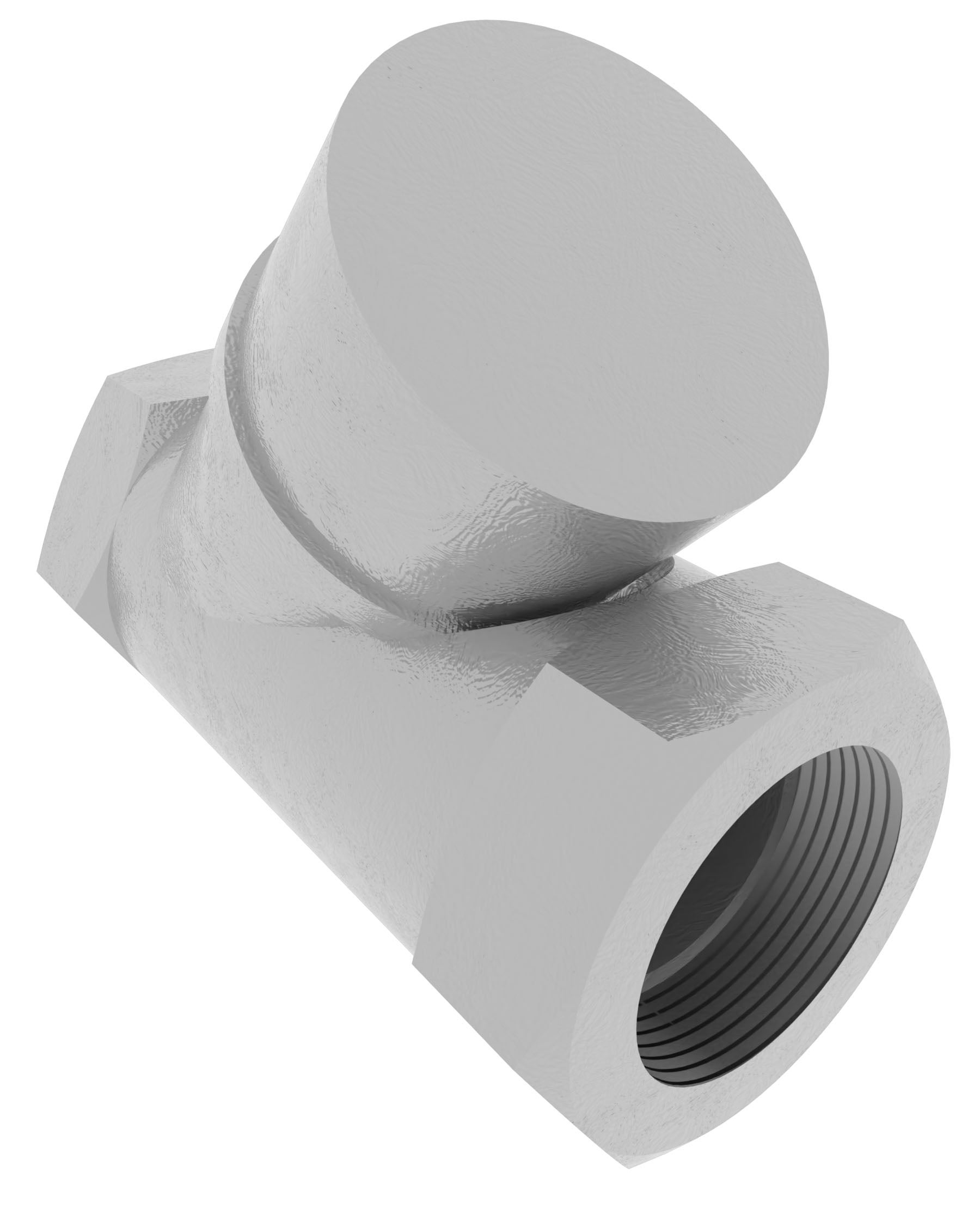 Product image of Y-CHECK VALVE THREADED, AISI316/AISI316/PTFE